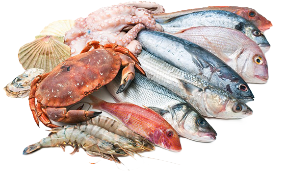 Pesce e prodotti ittici